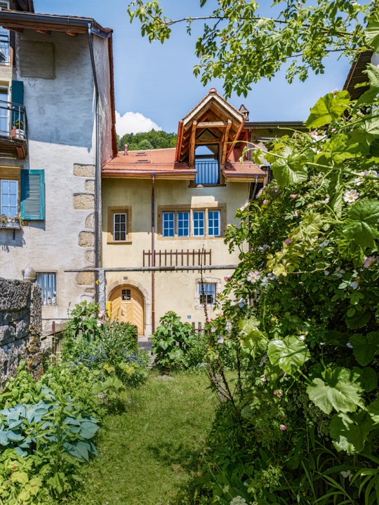 ein altes Haus durch einen stark bewachsenen Garten mit Weinreben hindurch fotografiert