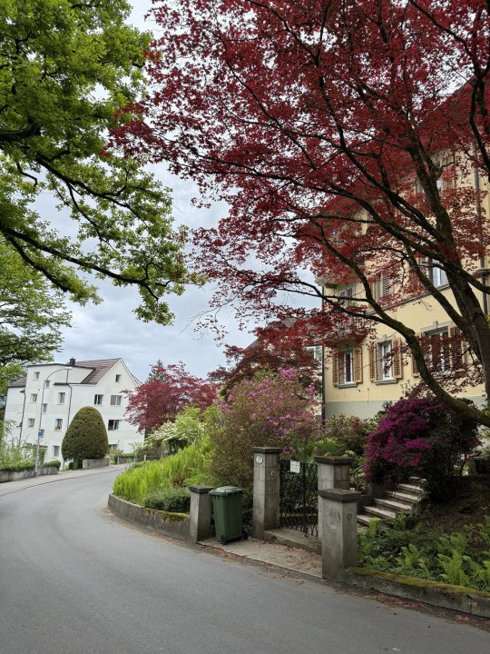 Aufnahme von einem Luzerner Quartier im Herbst.